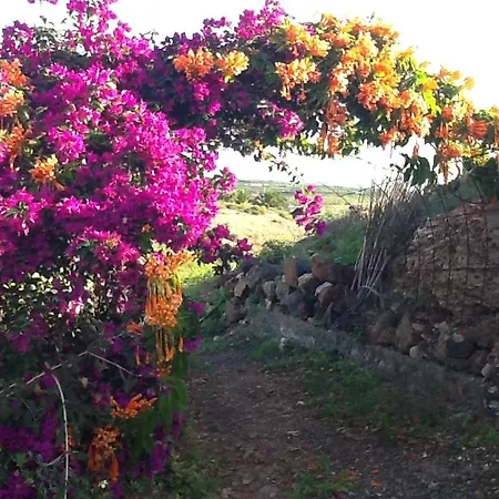 Apartamento Rural Oasis 2 Ариа